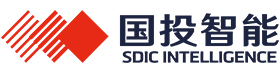 国投智能（厦门）信息股份有限公司